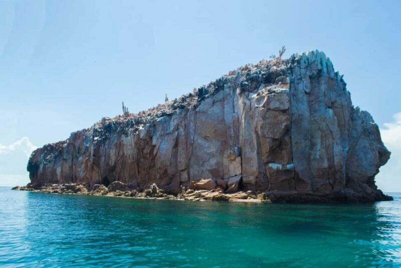 La Paz: Espíritu Santo Island Snorkeling Tour with Lunch - The Sum Up