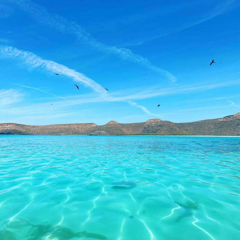 La Paz: Espiritu Santo Island Tour - Exploring Isla Espíritu Santo: A Natural Treasure