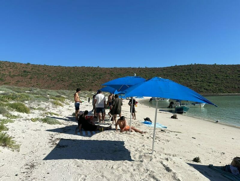La Paz: Espiritu Santo Island Tour - FAQs