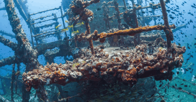 La Paz: Fang Ming Wreck Dive - Key Points