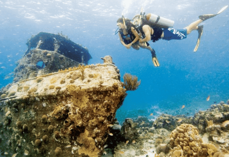 La Paz: Fang Ming Wreck Dive - Diving Experience