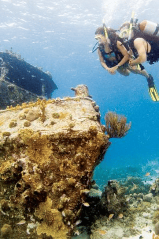 La Paz: Fang Ming Wreck Dive - Wreck History and Conservation