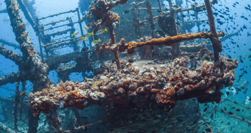 La Paz: Fang Ming Wreck Dive - Included Amenities