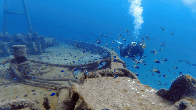 La Paz: Fang Ming Wreck Dive - Group Size and Languages