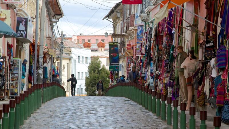 La Paz: Guided Walking Tour of the City Under the Skin - Key Points