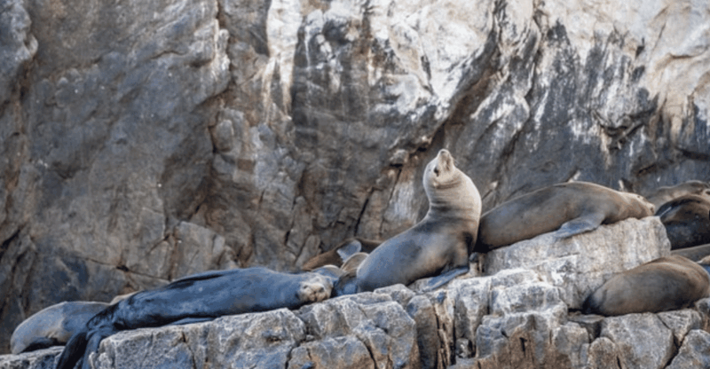 La Paz: Holy Spirit Island Tour - Key Points