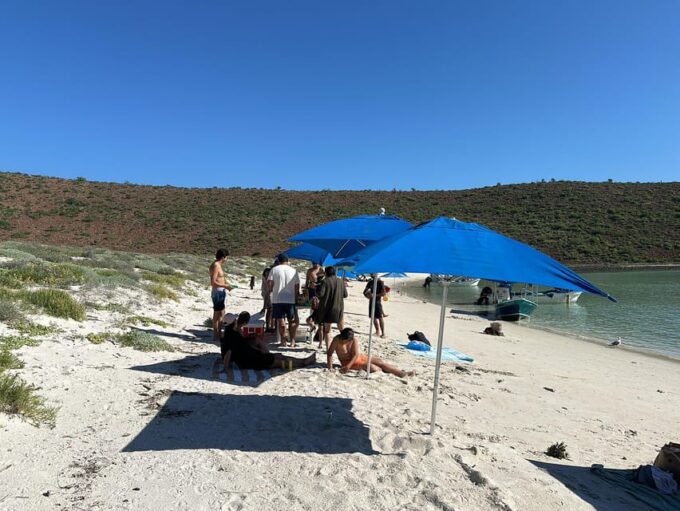La Paz: Holy Spirit Island Tour - Balandra Beach Visit