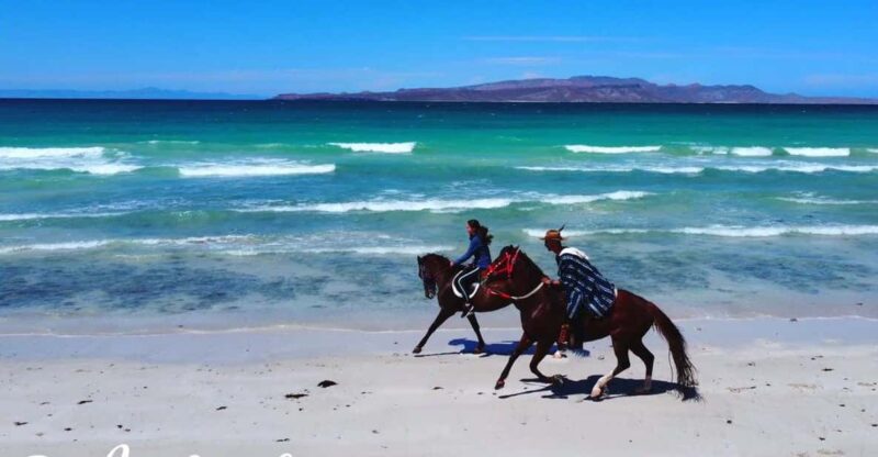 La Paz: Horseback Riding Experiences - Scenic Rides and Trails