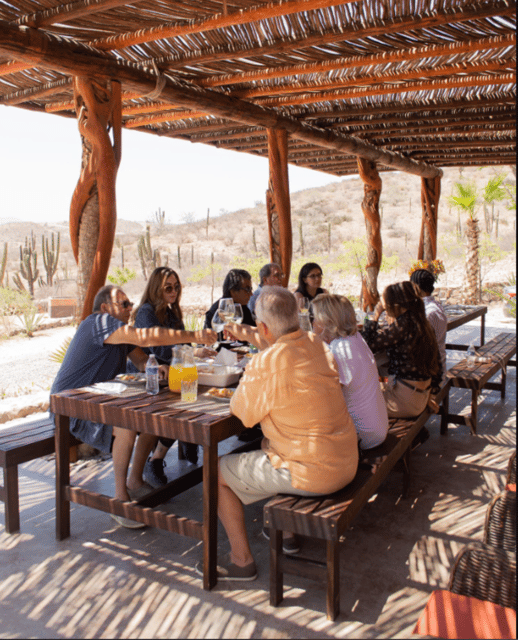 La Paz: Horseback Riding Experiences - Morning and Sunset Options