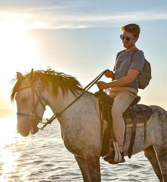 La Paz: Horseback Riding Experiences - Pricing and Reservations