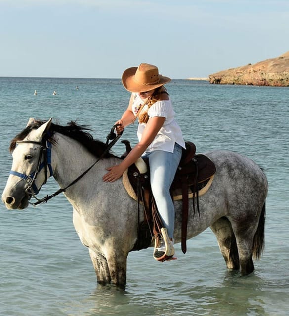 La Paz: Horseback Riding Experiences - Frequently Asked Questions