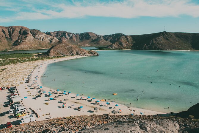 La Paz Like a Local: Customized Private Walking Tour - Exploring La Pazs Vibrant Culture