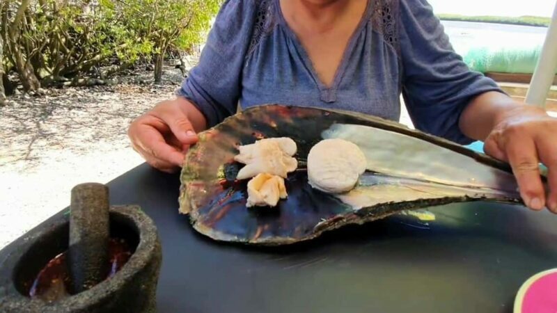 La Paz: Mangrove Adventure, Snorkeling and Shellfish Tasting - Who Will Love This Tour?