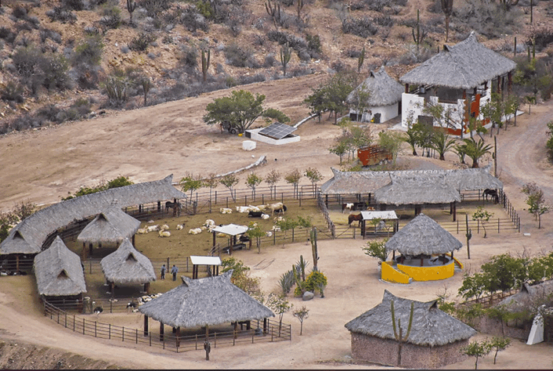La Paz: Morning Guided Hike & Organic Breakfast - Distance and Duration