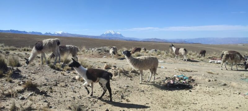 La Paz: Mountain Chacaltaya and Moon Valley Guided Day Tour - Chacaltaya Mountain