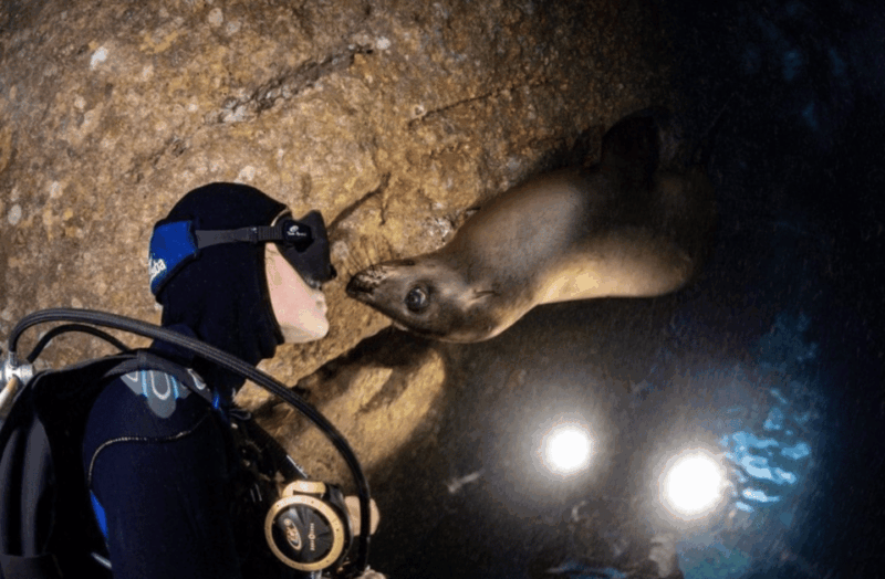 La Paz: Night Dive Experience - Additional Information