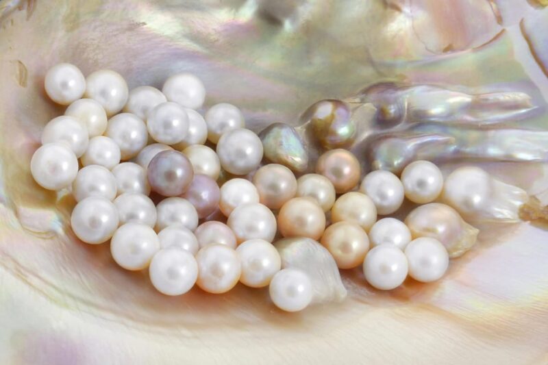 La Paz: Pearl Farm Experience and Shop - Visitor Interaction