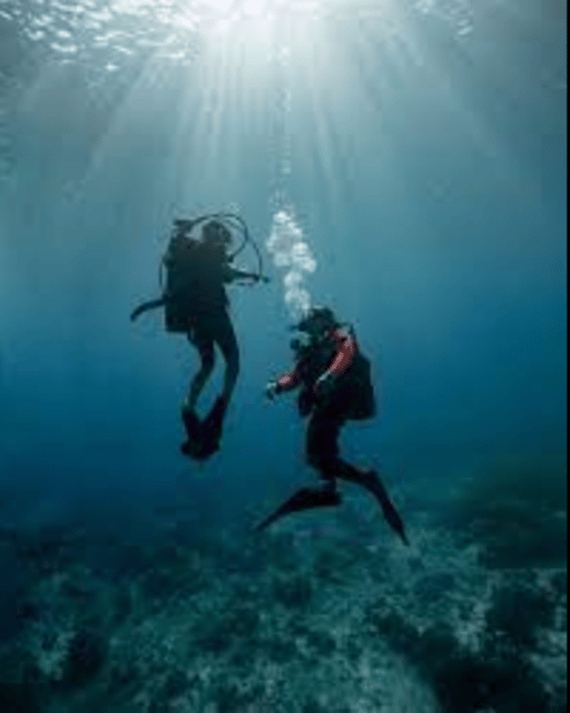 La Paz: Punta Lobos Dive Site - Mobula Mantas Sightings