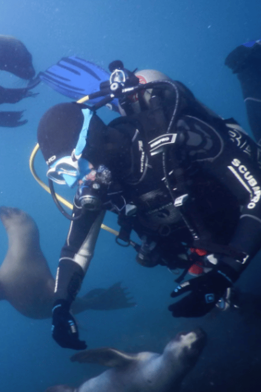 La Paz: San Rafaelito Dive Site - Key Points