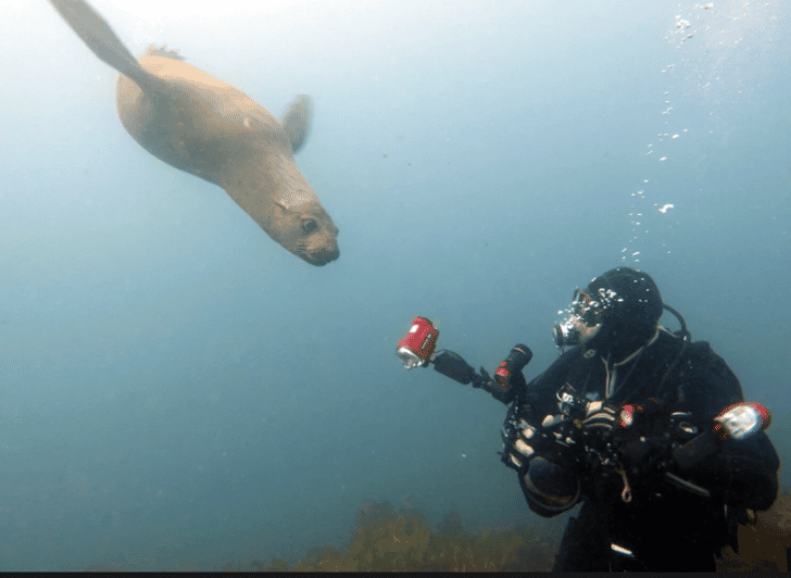 La Paz: San Rafaelito Dive Site - Pricing and Booking Details