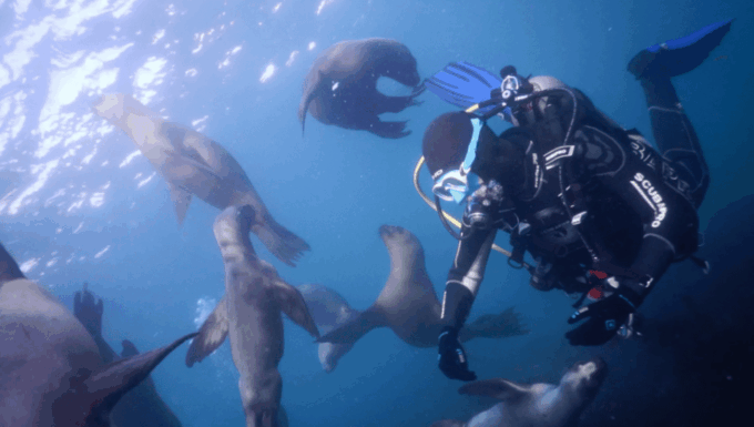 La Paz: San Rafaelito Dive Site - Historical Significance of Site