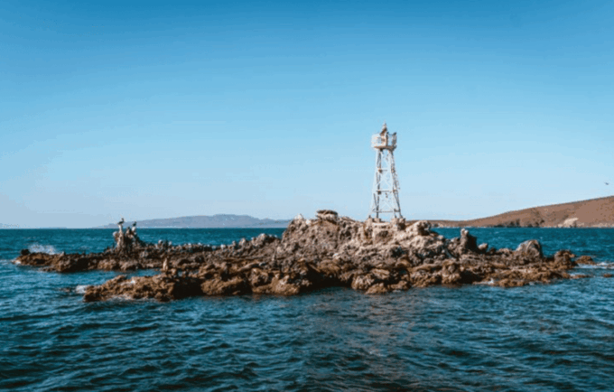 La Paz: San Rafaelito Dive Site - Included and Excluded Activities