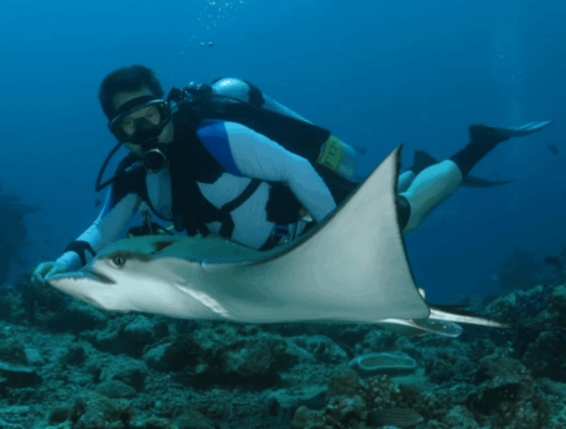 La Paz: Scuba Diving at El Bajo, Marisla Sea Mount - Dive Package Choices