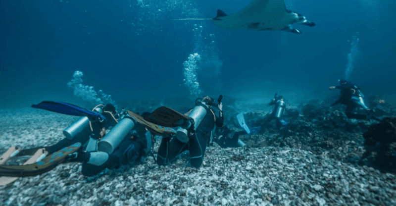 La Paz: Scuba Diving - La Reyna Dive Site - Key Points