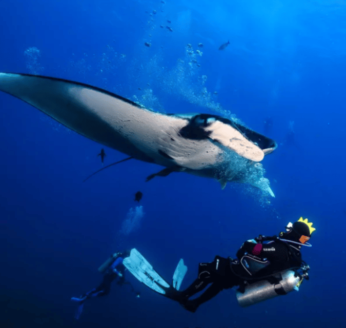 La Paz: Scuba Diving - La Reyna Dive Site - Booking and Cancellation