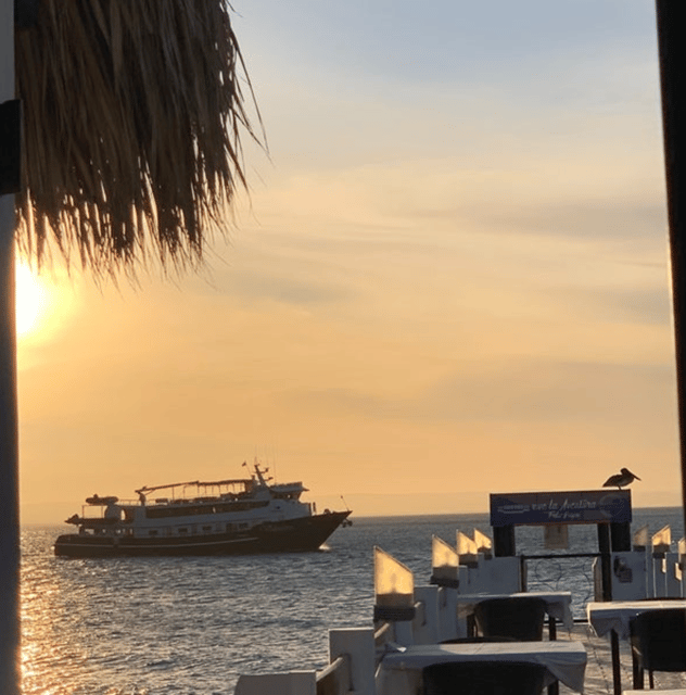 La Paz: Sea Side Bar/Wine & Grill - Dining Experience Highlights