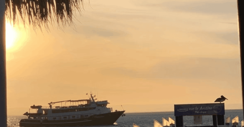 La Paz: Sea Side Bar/Wine & Grill - Language and Guide Services