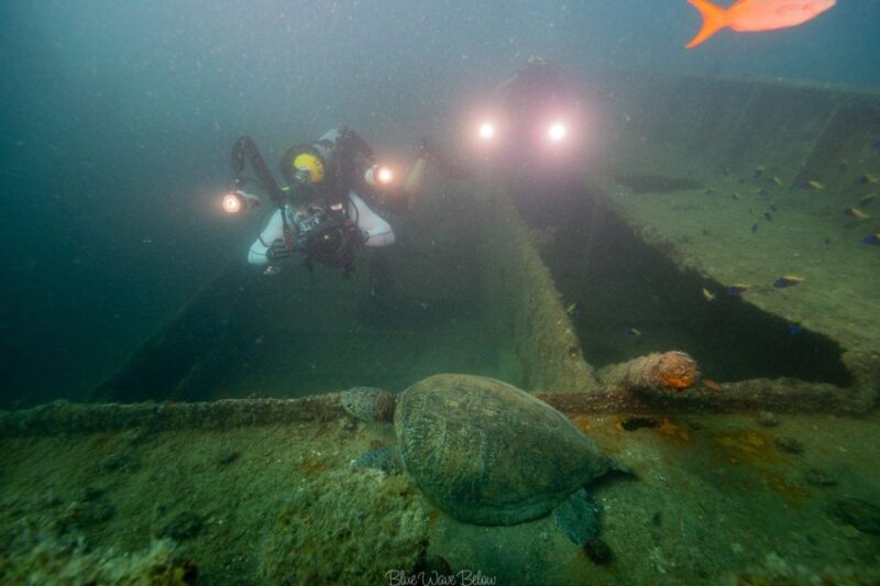 La Paz: Shipwreck Diving Experience - Underwater Discoveries