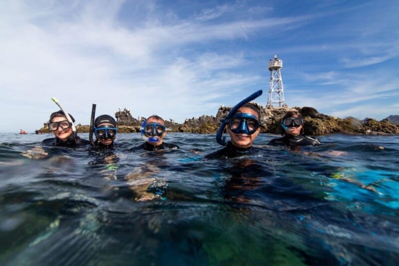 La Paz: Snorkeling With Sea Lions and Balandra Beach Tour - Visiting La Gaviota Island
