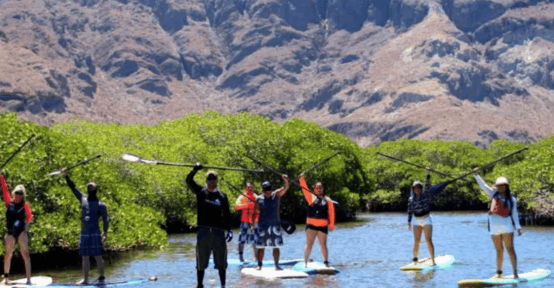 La Paz: Stand Up Paddle Boarding Experience in Balandra Bay - Key Points