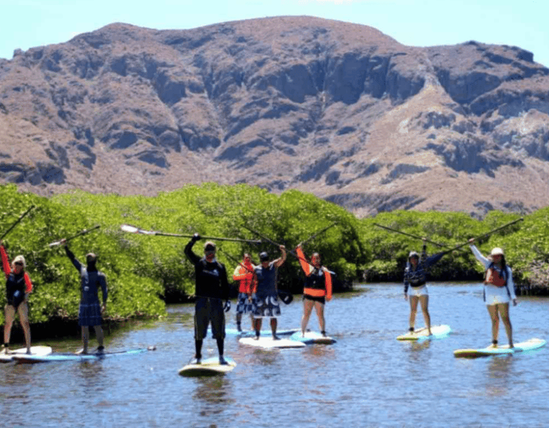 La Paz: Stand Up Paddle Boarding Experience in Balandra Bay - What to Expect
