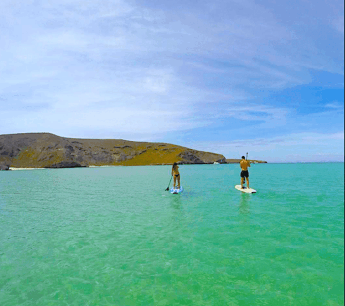 La Paz: Stand Up Paddle Boarding Experience in Balandra Bay - Safety Considerations
