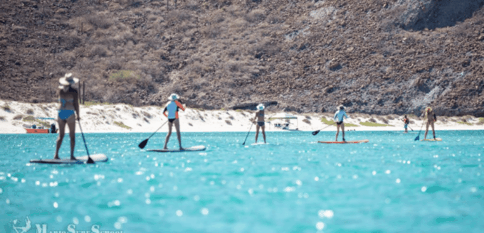 La Paz: Stand Up Paddle Boarding Experience in Balandra Bay - Frequently Asked Questions