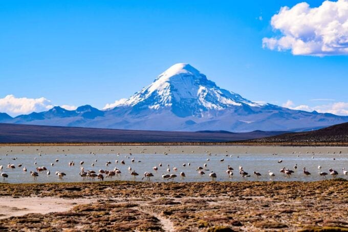La Paz to Uyuni via Sajama National Park - Discovering Eduardo Avaroa Reserve