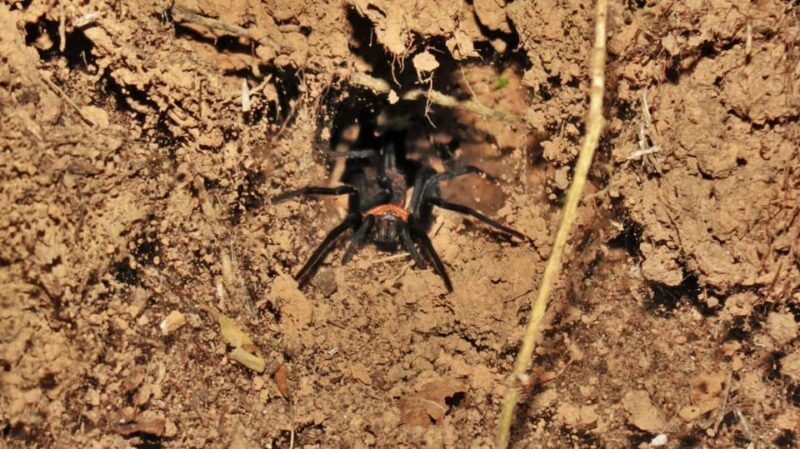 LA PAZ: TOUR 3 DAYS 2 NIGHTS RURRENABAQUE_MADIDI JUNGLE - Participant Information