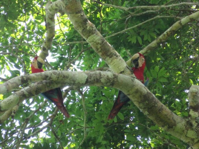 LA PAZ: TOUR 3 DAYS 2 NIGHTS RURRENABAQUE_MADIDI JUNGLE - Customer Reviews