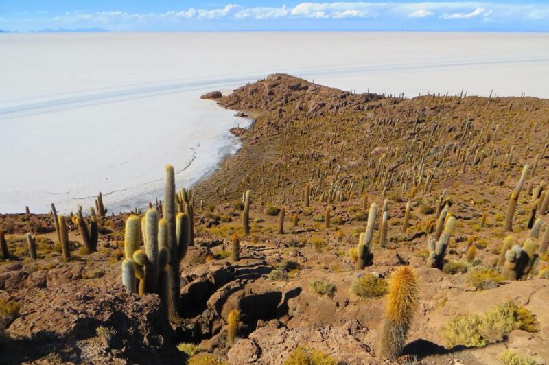 La Paz: Uyuni Salt Flats and Incahuasi Island 5 Days by Bus - Itinerary