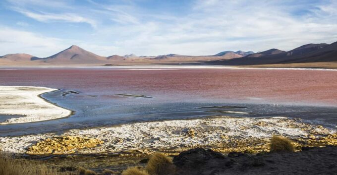 La Paz: Uyuni Salt Flats and Incahuasi Island 5 Days by Bus - Frequently Asked Questions