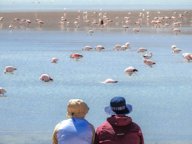La Paz: Uyuni Salt Flats & Isla Incahuasi 5-Day Bus Tour - Customer Reviews