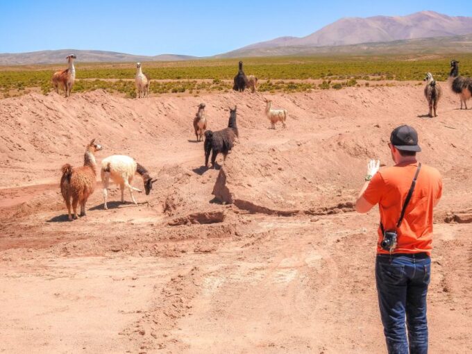 La Paz: Uyuni Salt Flats & Isla Incahuasi 5-Day Bus Tour - Frequently Asked Questions