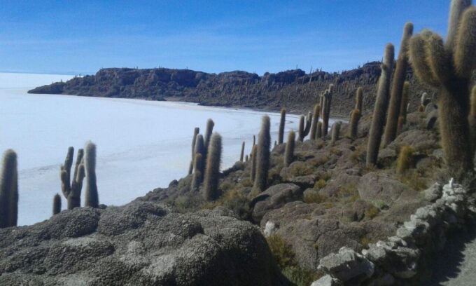 La Paz: Uyuni Tour Ending in Atacama, Chile by Bus. - Frequently Asked Questions