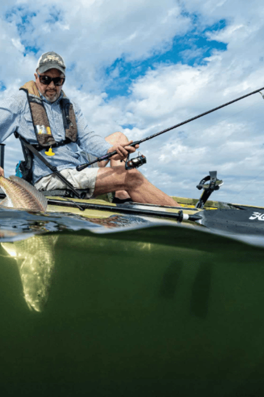 La Paz: Water Sports - Kayaks - Experience Highlights