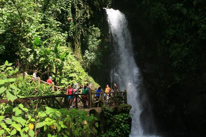 La Paz Waterfall Gardens From San José - Overview of La Paz Waterfall Gardens