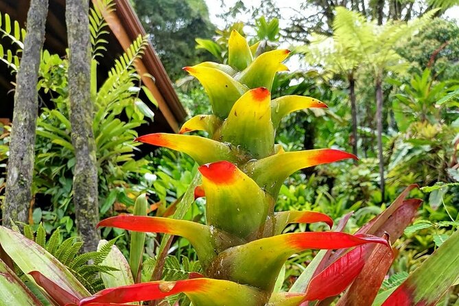 La Paz Waterfall Gardens Nature Park Full-Day Tour - Whats Included in the Experience