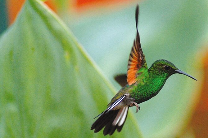 La Paz Waterfall Gardens Nature Park Full-Day Tour - Tour Schedule and Accessibility