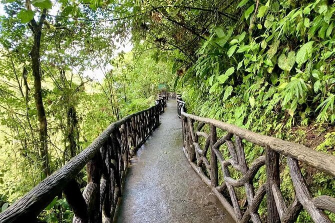 La Paz Waterfall Gardens Nature Park Full-Day Tour - Customer Feedback and Highlights